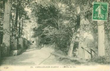 1 vue  - Chelles-sur-Marne - Chemin des Iles (ouvre la visionneuse)