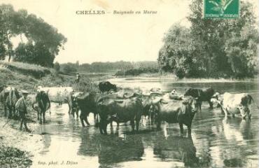 1 vue  - Chelles - Baignade en Marne (ouvre la visionneuse)