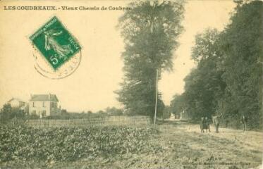 1 vue  - Les Coudreaux - Vieux Chemin de Coubron (ouvre la visionneuse)