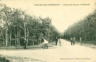 1 vue  - Chelles-Les Coudreaux - Avenues des Sciences et Humboldt (ouvre la visionneuse)