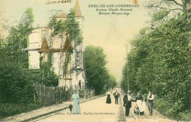 1 vue  - Chelles-Les Coudreaux - Avenue Claude-Bernard Donjon Moyen-Age (ouvre la visionneuse)