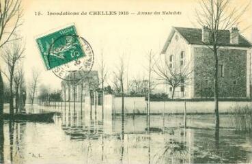 1 vue  - Les inondations de 1910 Chelles - Avenue des Mahulots (ouvre la visionneuse)